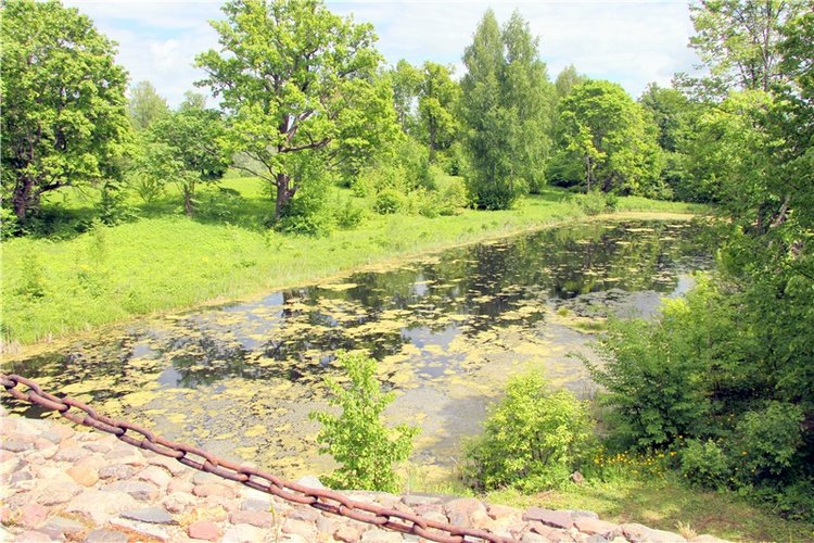 "Троицкие гуляния" в Василёво, 2017 год, продолжение. Архитектурно-этнографический музей под открытым небом "Василёво"