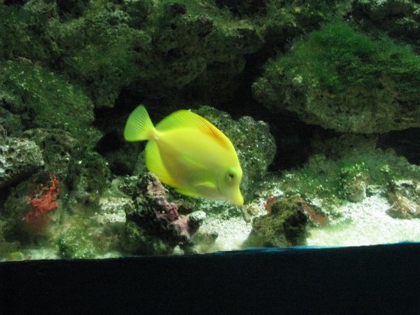 Путешествие на о. Кипр — Туризм и путешествия: фотоотчеты из поездок