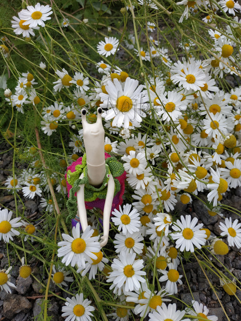 Wonderfrog. Красота в простоте