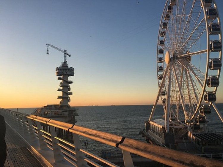 Мисс Бэйбики 2019. Фотосессия в купальнике - часть вторая | Бэйбики Мисс Бэйбики 2019. Фотосессия в купальнике - часть вторая (фото 6)