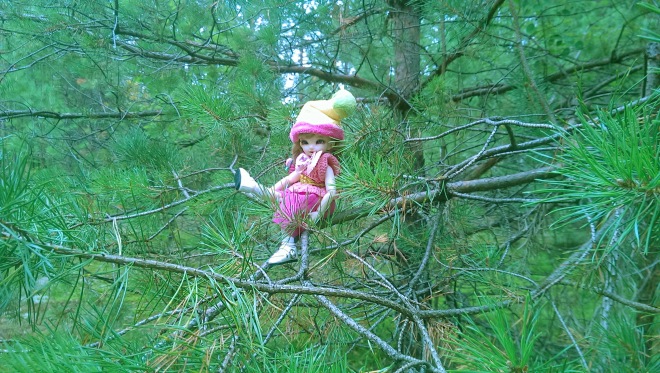 Лесные приключения... Волшебство, сосны, грибы, полетаем) (фото 10)