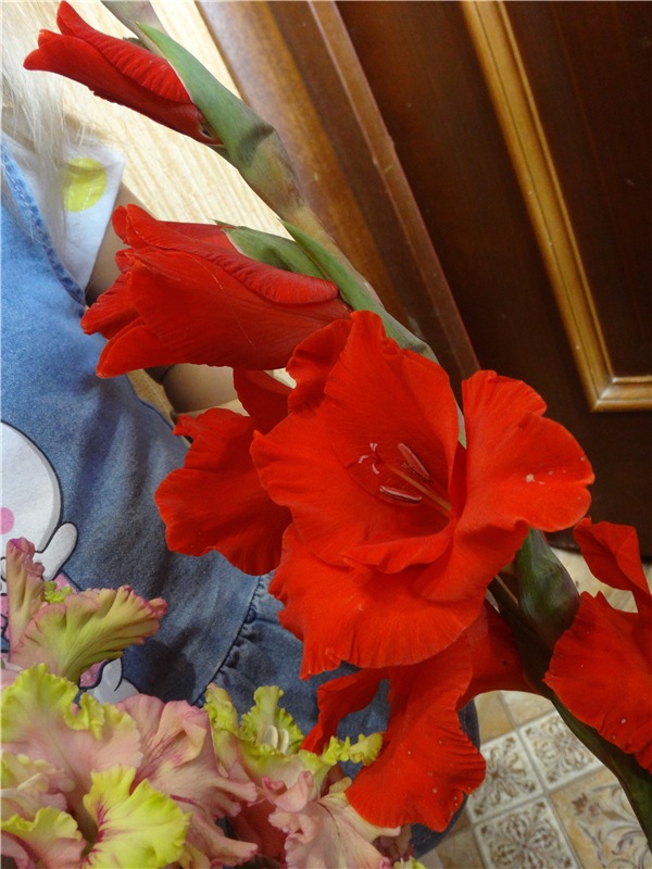 Как мы делали лечо или куклы на кухне