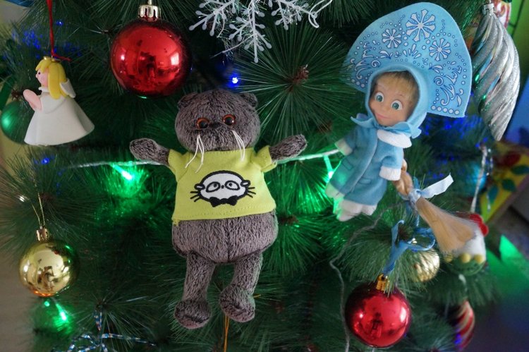 Верите ли вы в деда Мороза? Подарки под ёлочкой, их ждали