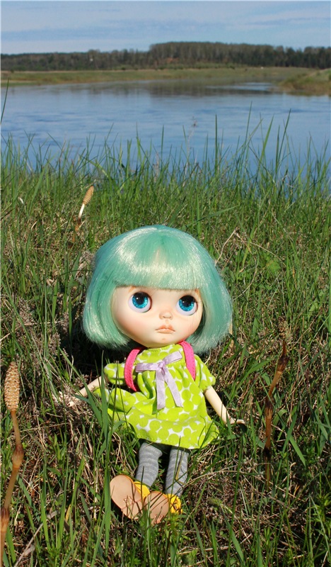 Долгая дорога к Волге. Custom Blythe Doll UFO Go Go Takara