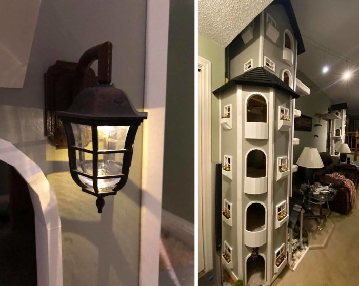 Кошкин дом в доме человека