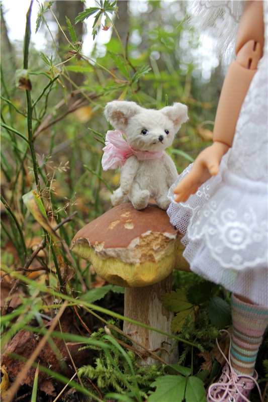 Имани. Прогулка в осенний лес. Mini Imani от Kaye Wiggs (фото 7)