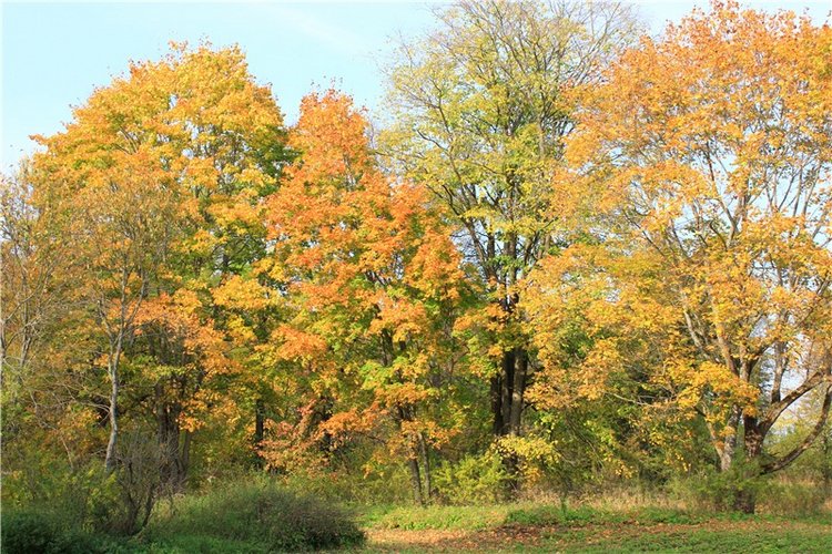 Путешествие Dal Hangry в Грузины, продолжение