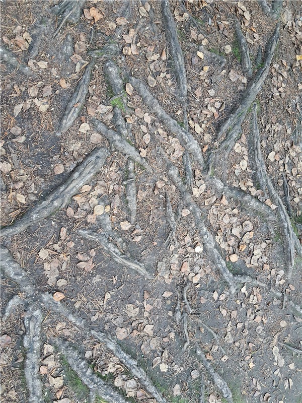 Путешествие по Святым местам Тверской области (фото 8)