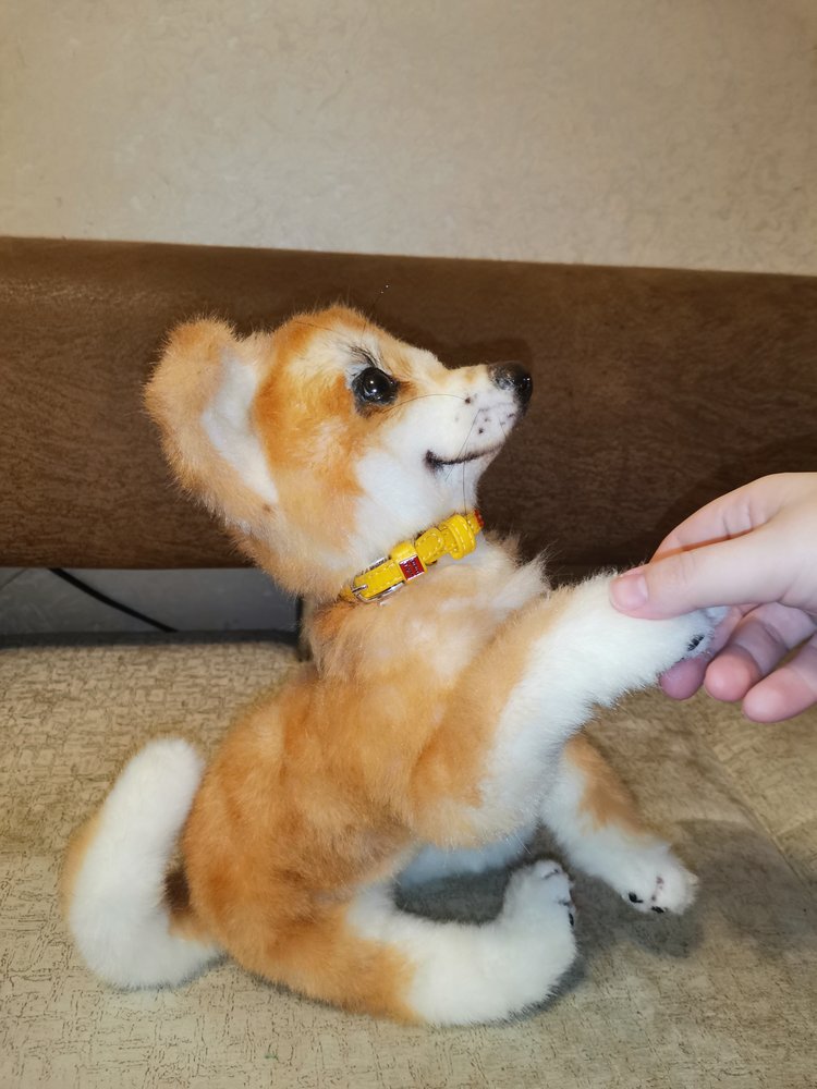 Акито щенок — Игрушки в смешанной технике (мех и глина): Арт (фото 9)