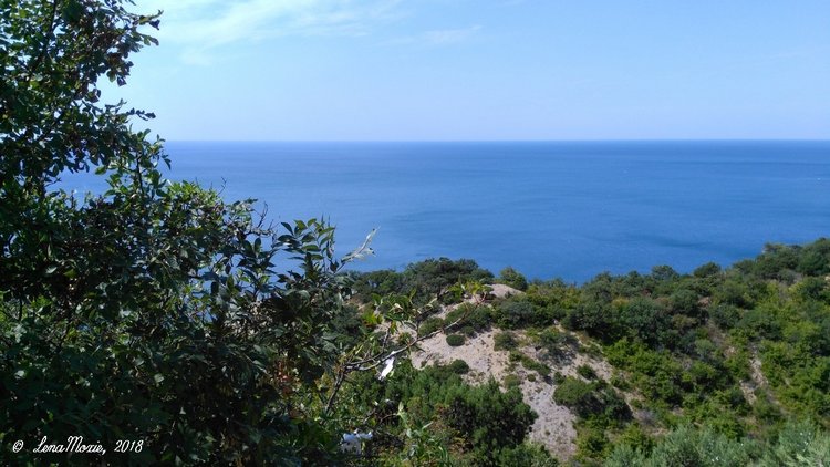 Kidz' тур. Юлино лето — Куклы Kidz'n'Cats (Соня Хартман): шарнирные 46 см (фото 2)