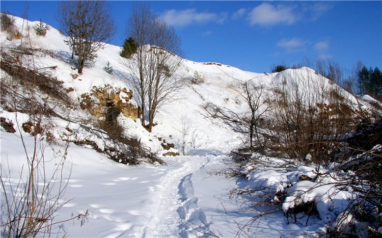 Зимняя прогулка Сони. Уникальная кукла от Сильвии Наттерер