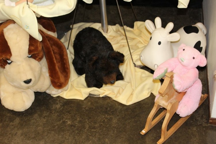 Пасхальная встреча в магазине кукол! Часть 4