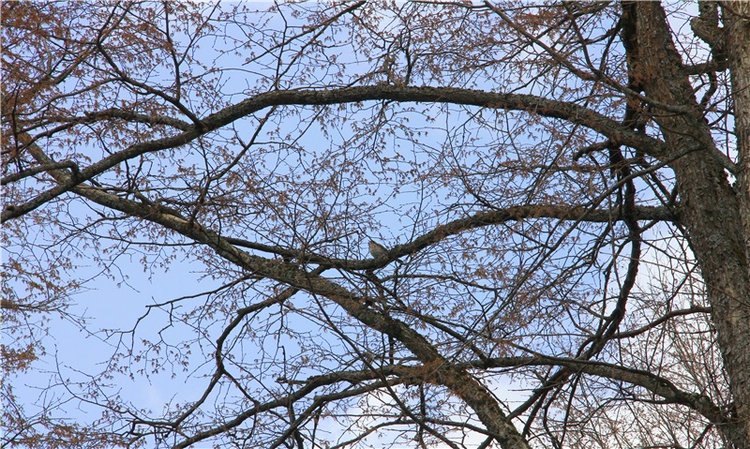 Усадьба Чукавино, Тверская область