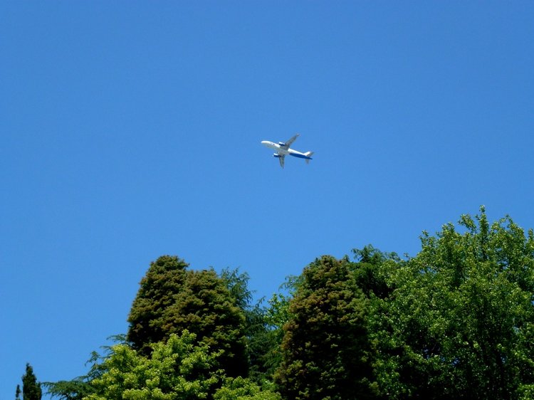 Краснодарский Край, Сочи-Адлер, Санаторий «Южное Взморье»