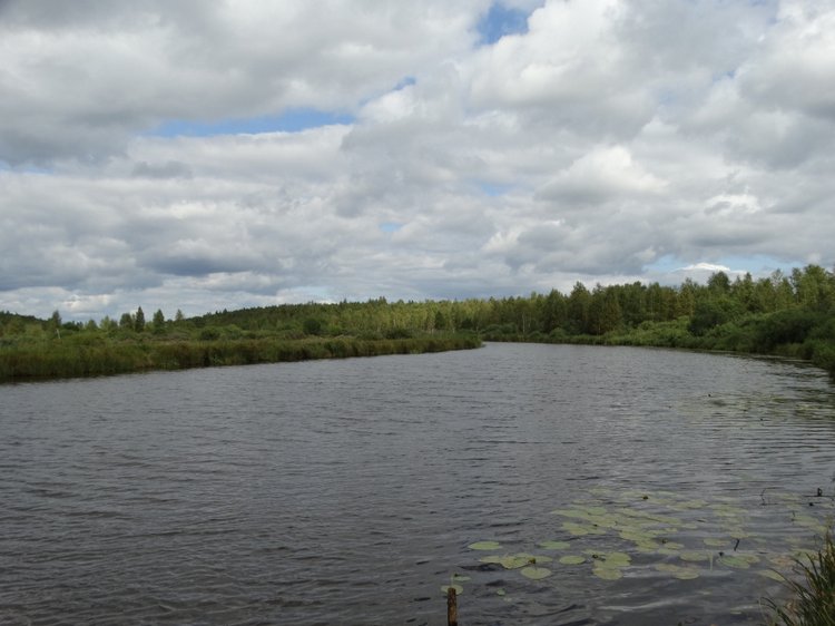 Каменный остров. Поездка с БЖД куколкой от Лиликэт