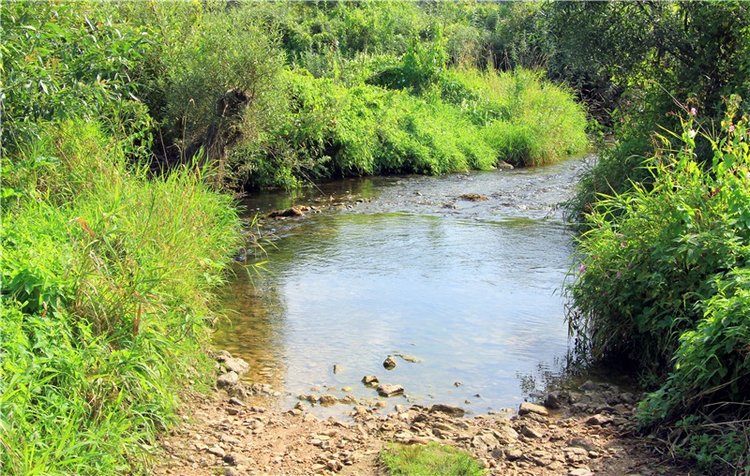 Старицкая Швейцария. Путешествие с Сашей, продолжение. Уникальная кукла от Сильвии Наттерер