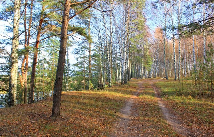 Ромашковый октябрь. Zwergnase Mischa (фото 10)