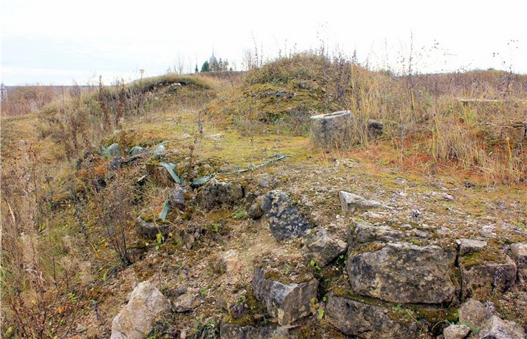 Осеннее путешествие с Мишей. Zwergnase Mischa | Бэйбики Осеннее путешествие с Мишей. Zwergnase Mischa