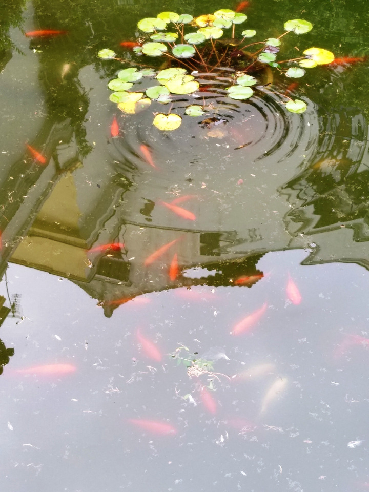 Тайна моего имени. Часть восьмая. Испания, Севилья. Колумб повсюду