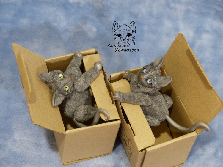 Сборы котиков в путь. Котики-призы конкурсов (фото 6)