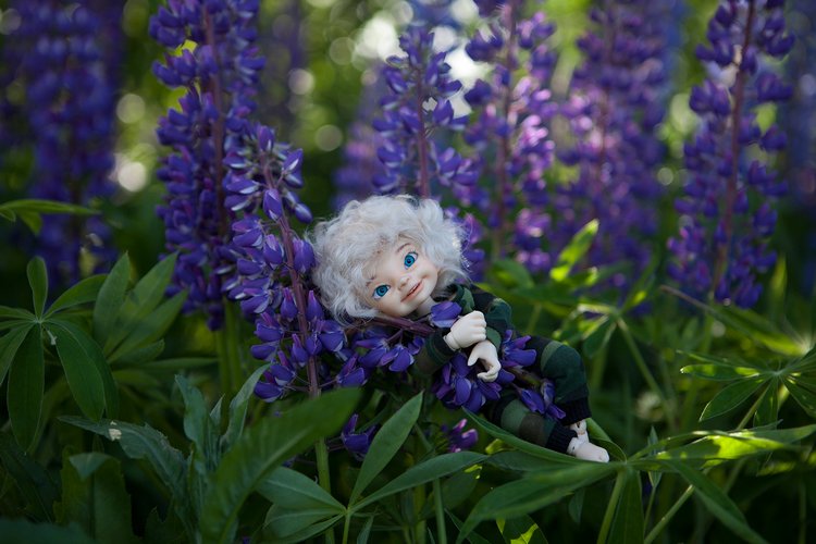 Эльфики в Гвоздёво | Бэйбики Эльфики в Гвоздёво — Куклы Fairyland (ФэйриЛэнд): BJD (БЖД) (фото 6)