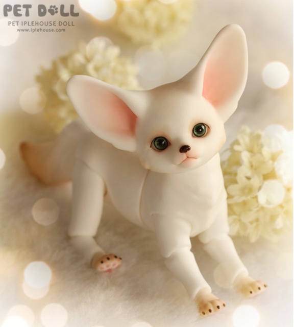 Новинки от Iplehouse - Маленький принц Fay (формат KID) и лис Fennec Fox