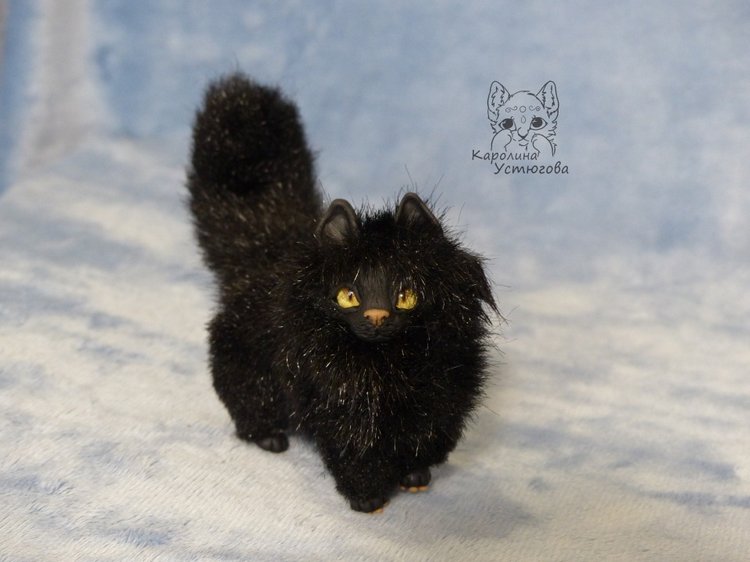 Кот породы Мейн-ку́н, черный. Я к удаче (фото 10)