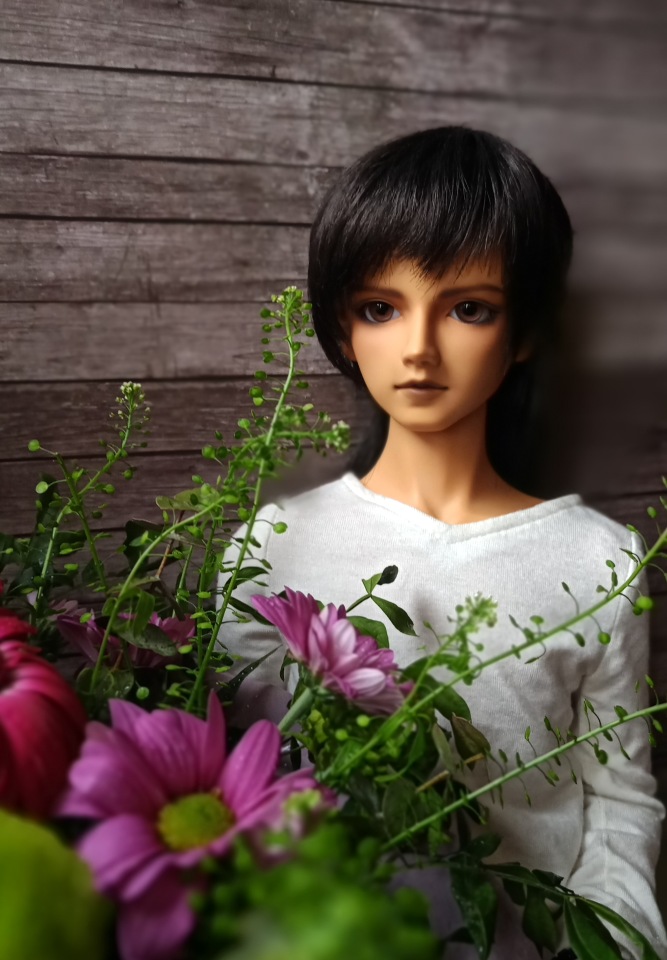 Моя кукла грааль — Куклы Volks (Волкс): Super Dollfie (SD) и Dollfie Dream (DD) (фото 4)
