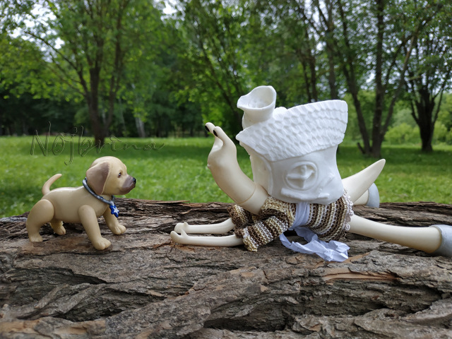 Wonderfrog. Красота в простоте