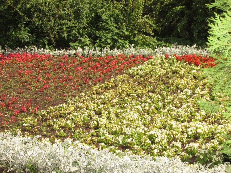 Малышня на прогулке в Бирюлёвском дендропарке