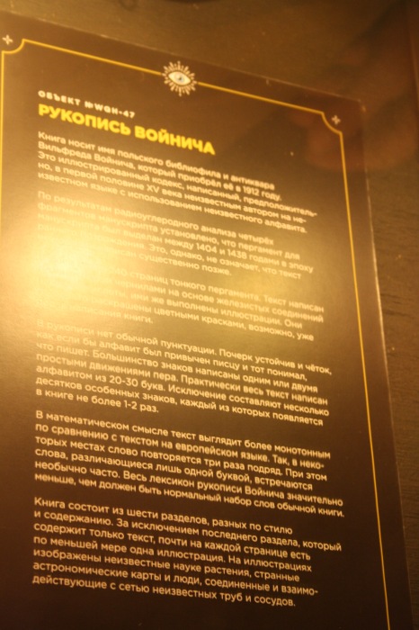 Петербург. Музей НЕправды (18+). Часть 2 (фото 3)