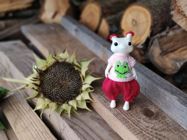 Лето с лягушками — Коллекционные куклы разных авторов (Разное): редкие бренды (фото 3)