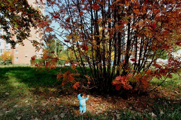 Осень моих вихтелят 2 — Куклы Rosemarie Anna Muller (Мюллер): Вихтели (Wichtel) (фото 2)