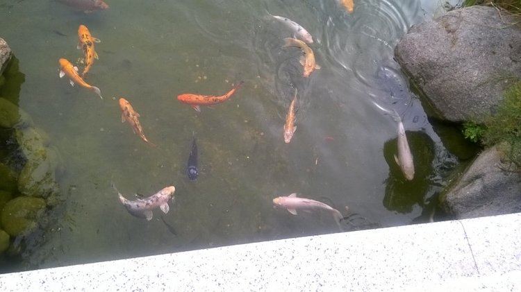 Тур по Европе или долгожданный подарок самой себе. Часть 11