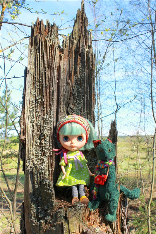 Долгая дорога к Волге. Custom Blythe Doll UFO Go Go Takara