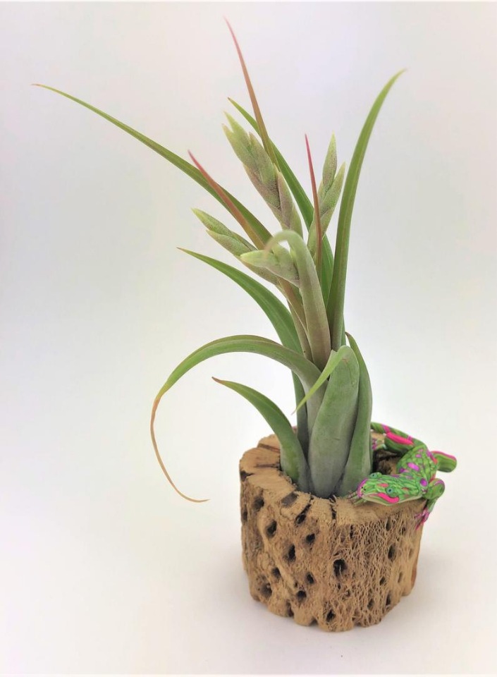 Sandysmallwonder - Авторские скульптуры из полимерной глины by Sandy Lehman - ч.1