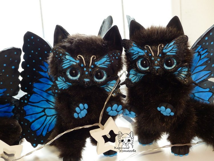 Волшебство продолжается... Бабочковые котята Папилиофелис (фото 7)