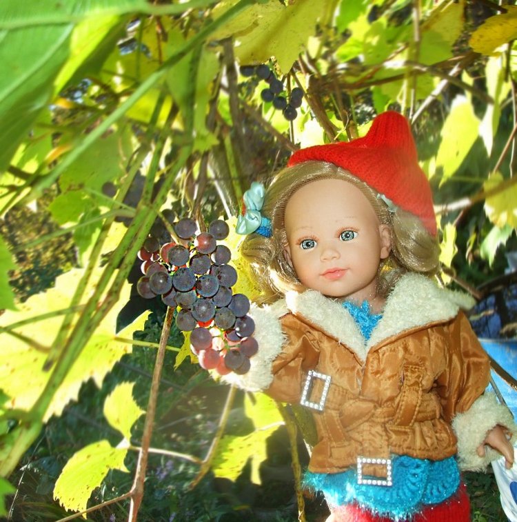 Линка и Иришка - сборщицы винограда | Бэйбики Линка и Иришка - сборщицы винограда