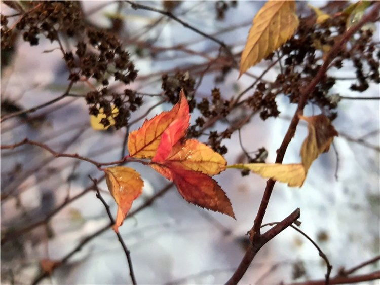 Выставка "Самоцветы Мира" в Твери, продолжение