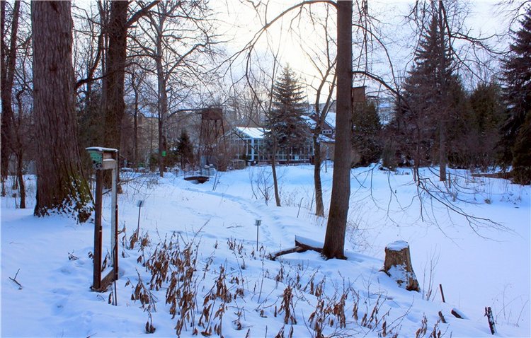 Тверской Ботанический Сад, заключительная часть