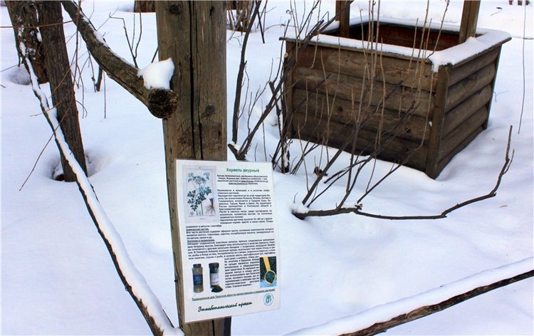 Тверской Ботанический Сад, заключительная часть