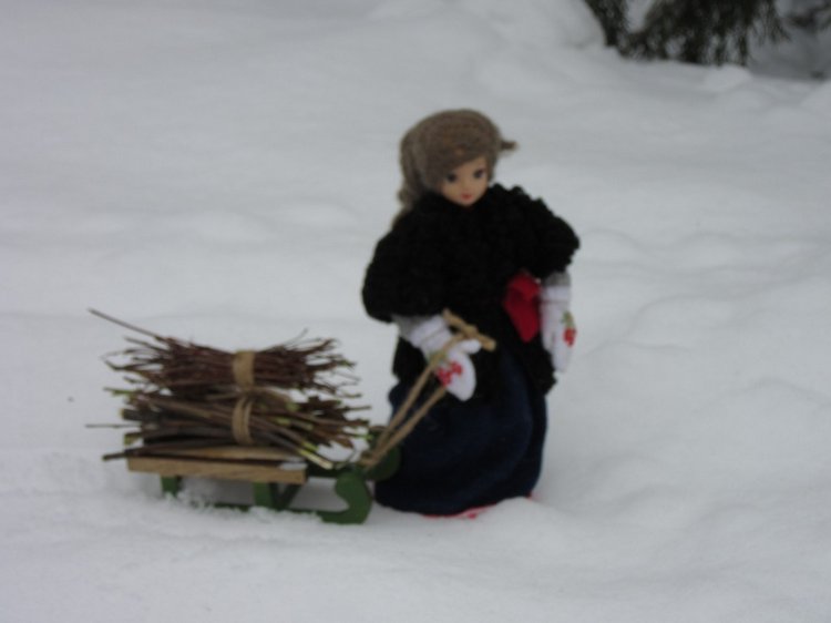 Запасаемся хворостом с Хеленой (фото 4)