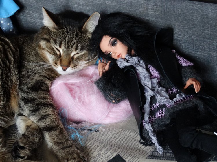 Кото-фото — В мире животных: смешные фото питомцев и зверей