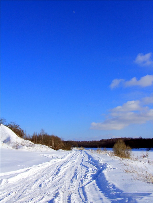 Зимняя прогулка Сони. Уникальная кукла от Сильвии Наттерер