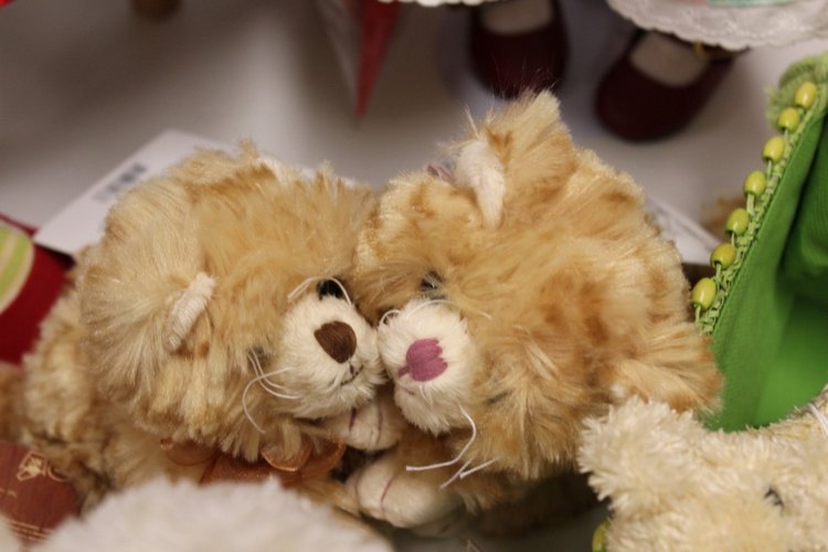 Наша зимняя встреча в магазине/клубе коллекционных кукол в Голландии