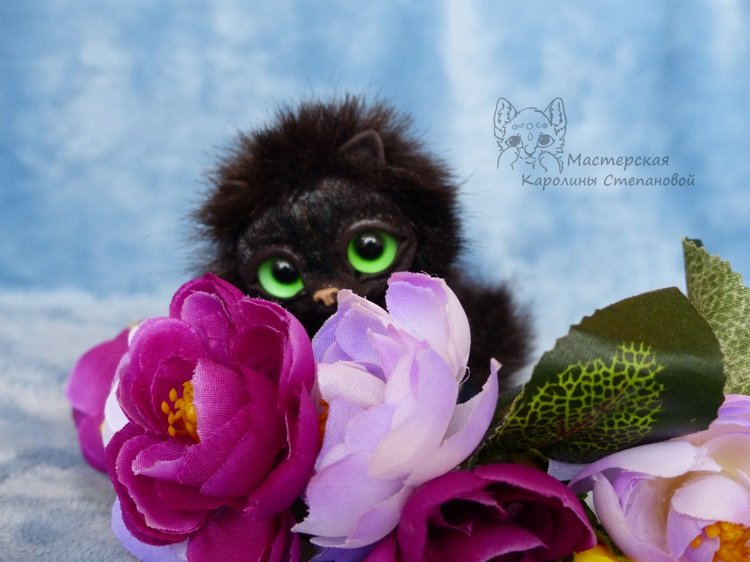 Совята и котик Леви встречают весну