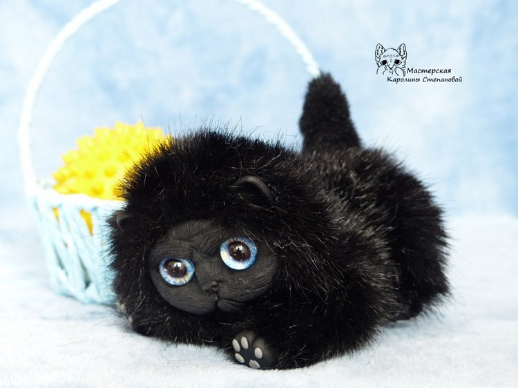 Черные котятки(персы), маленькие злобики