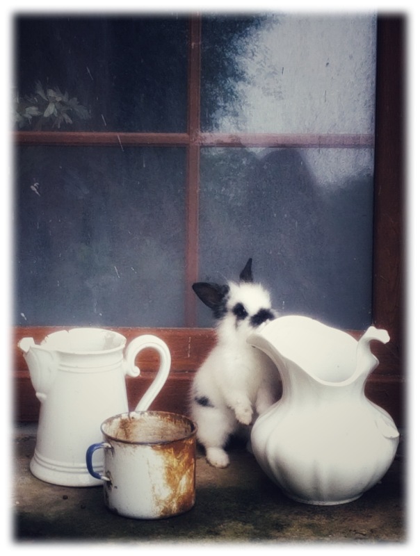 Путешествие с куклой. #2 — Куклы Kathe Kruse (Кате/Кэте Крузе): фото