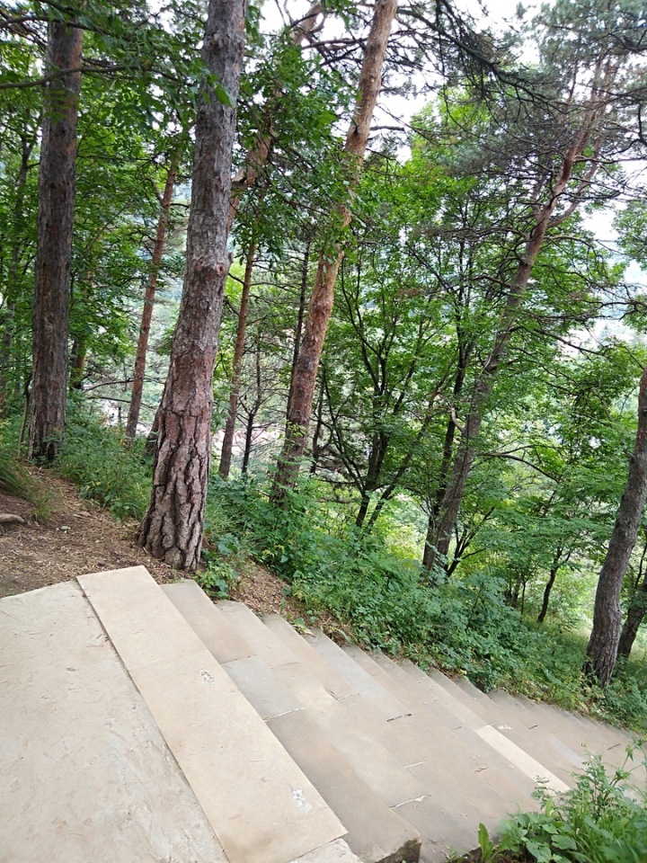 Возвращение Хелены в Кисловодск: опять за своё