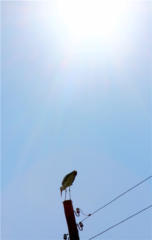 Старицкая Швейцария. Путешествие Мии. Minifee Miyu FairlyLand | Бэйбики Старицкая Швейцария. Путешествие Мии. Minifee Miyu FairlyLand